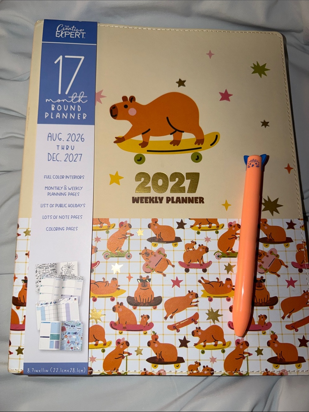 2027 Large Weekly Planner 17 month - Cutest CAPYBARA on Skateboards & Scooters!
